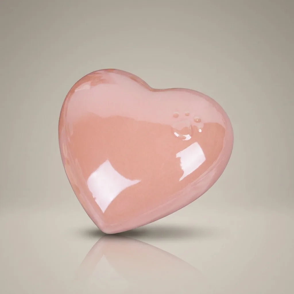 Timeless Love Capsule