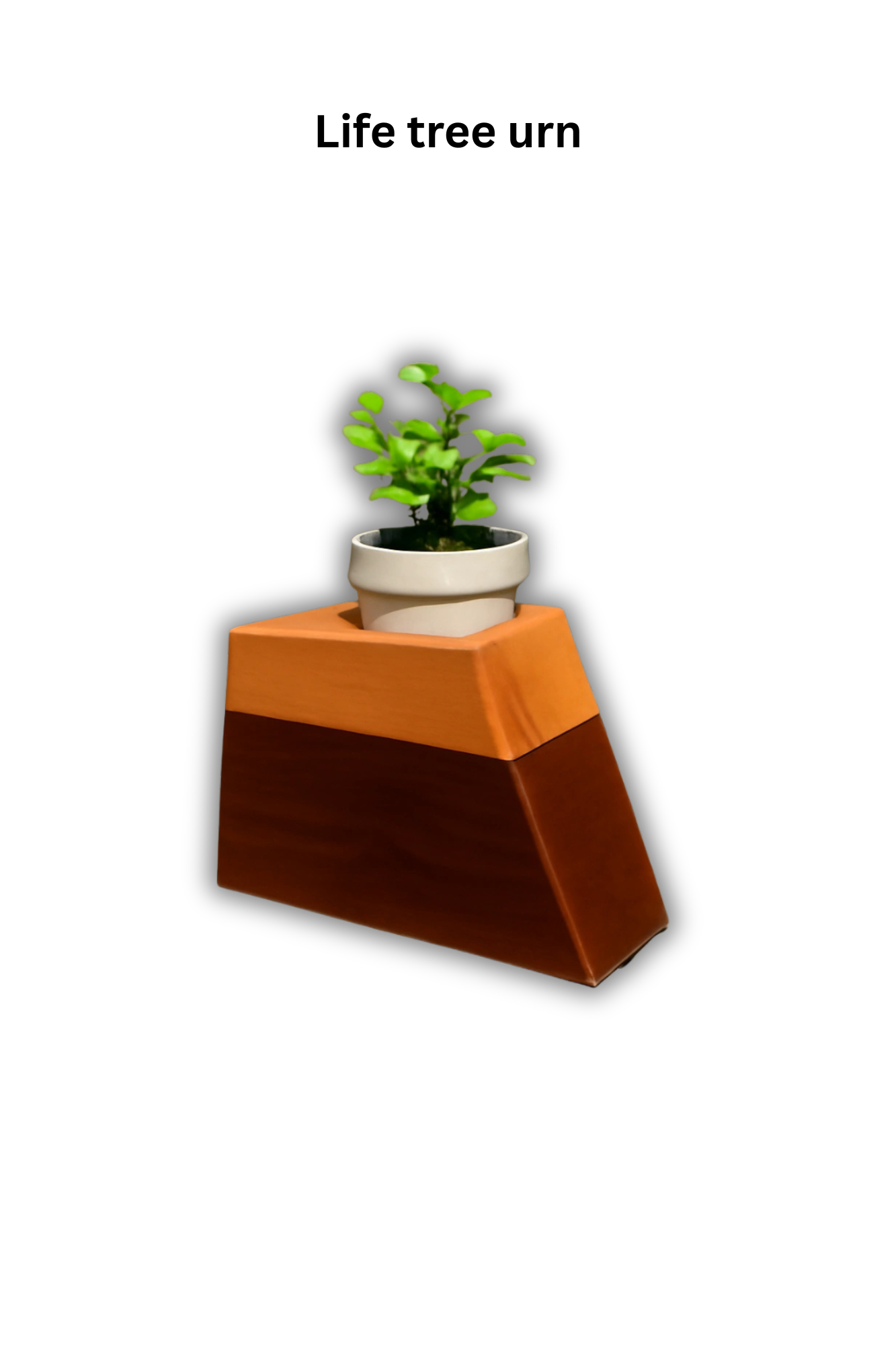 Life Tree Urn